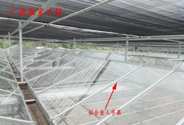 玻璃大棚的造价多少钱一平方