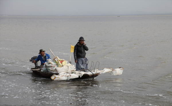 中国死海在什么地方