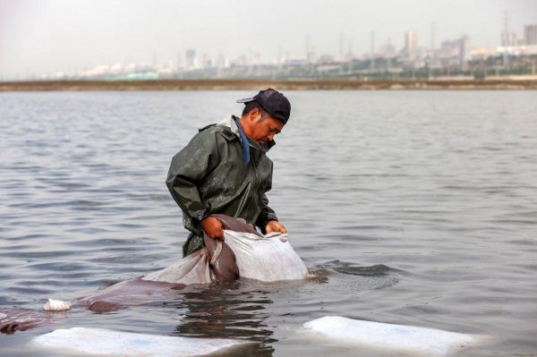 中国死海在什么地方