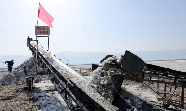 中国死海在什么地方