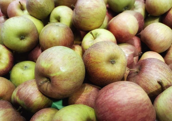 全国苹果产地最好排名