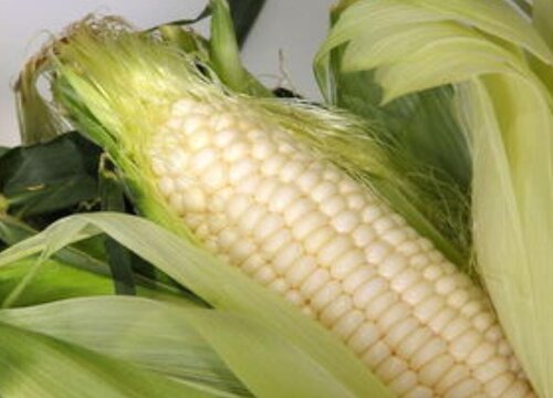 玉米煮多少分钟就可以吃了