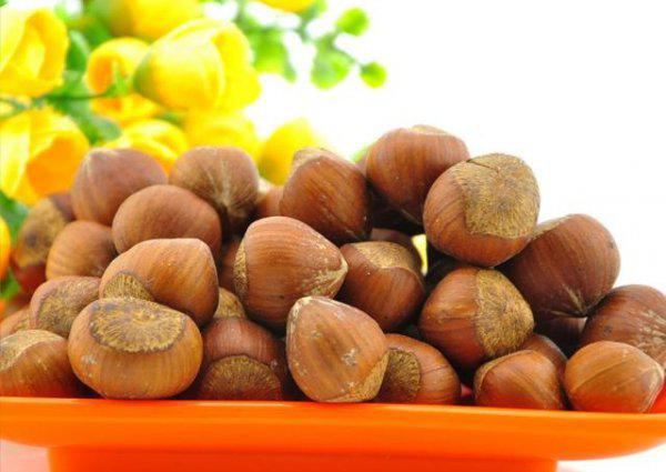 榛子树秋天能剪枝吗