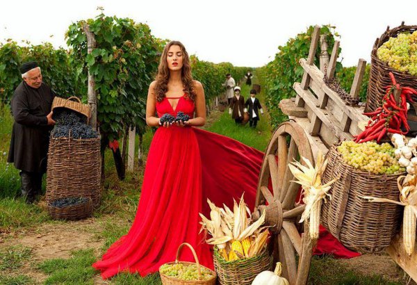 格鲁吉亚人口和面积介绍