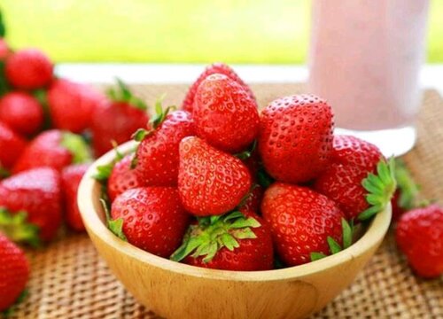 介绍巧克力草莓是什么品种