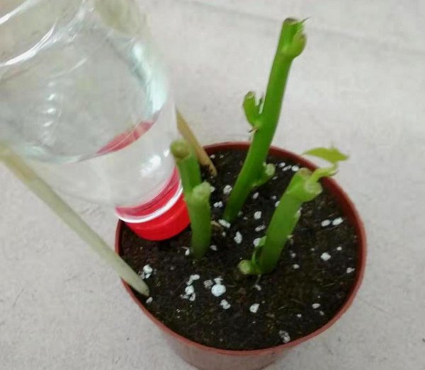 矿泉水瓶的用途都有哪些