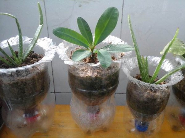 矿泉水瓶的用途都有哪些