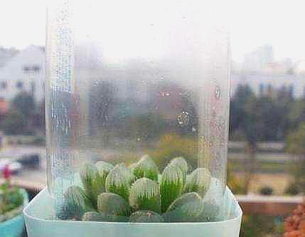 矿泉水瓶的用途都有哪些