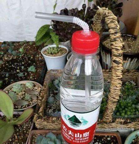 矿泉水瓶的用途都有哪些