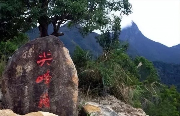 沉香哪里的产地最好