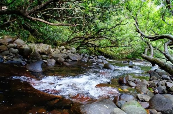 沉香哪里的产地最好
