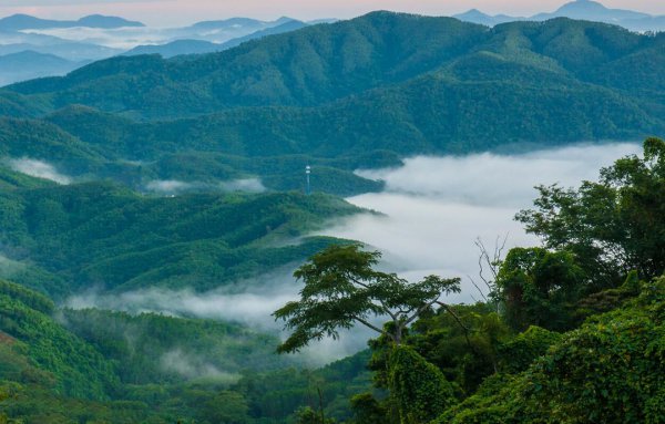 沉香哪里的产地最好