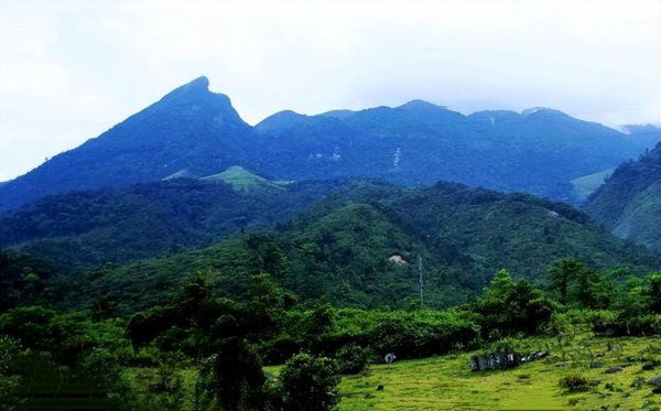 沉香哪里的产地最好