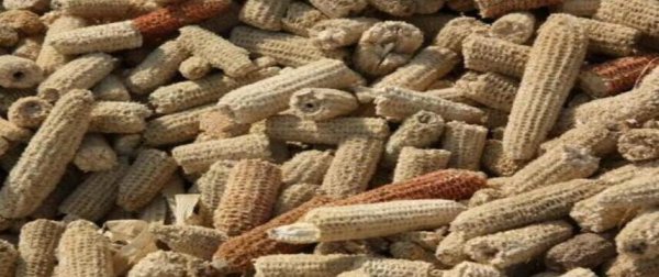 玉米芯可以做肥料吗