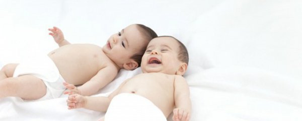 属老鼠几月出生最好命运