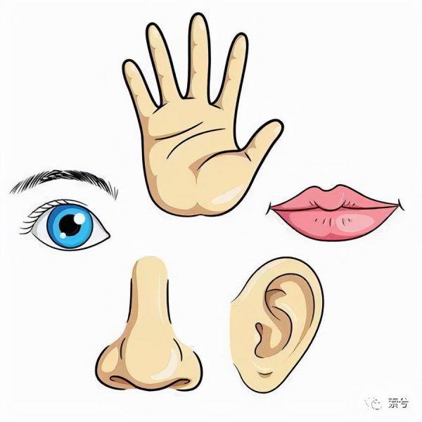 7一10岁亲子游戏两个人玩的