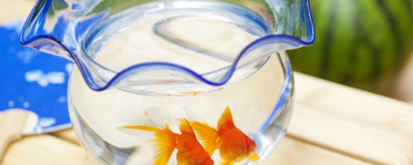 鱼缸里下盐多久能清洗