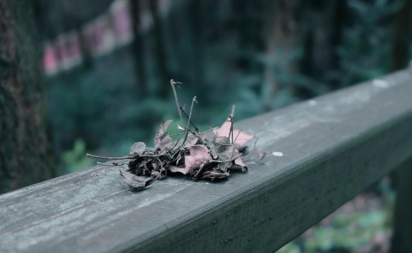 白羊座性格女生特点以及弱点