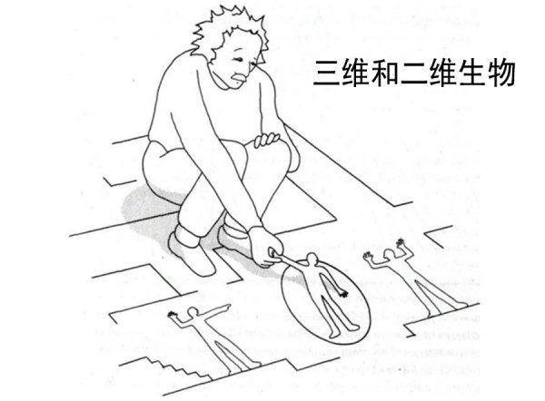 四维空间的生物有什么能力