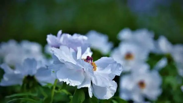 沦陷是什么意思网络用语