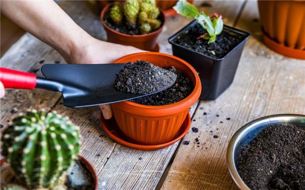 办个小型加工厂做啥好