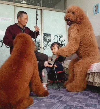 大狗品种有哪些