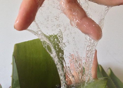 用生芦荟擦脸的步骤