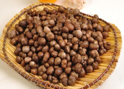 山药豆什么时候采摘