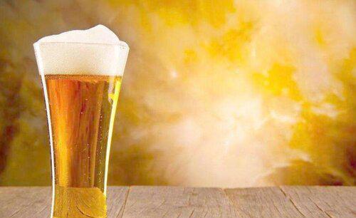 啤酒对植物的作用