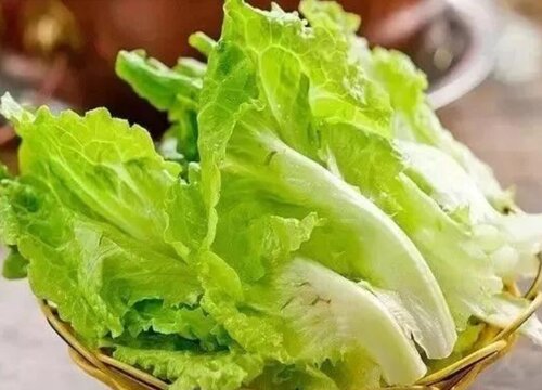 适合做沙拉的蔬菜有哪些