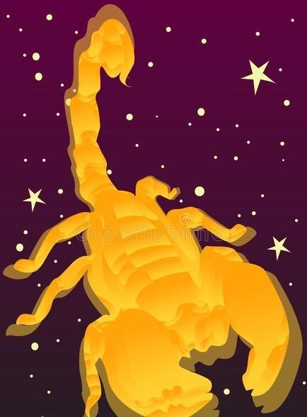 天蝎男深爱的女人类型