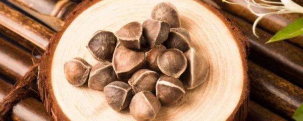 吃辣木籽有什么好处和坏处