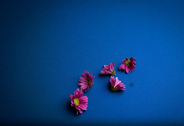 晚上怎么跟女生聊天找话题套路