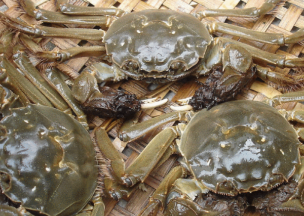 苏州有什么特产