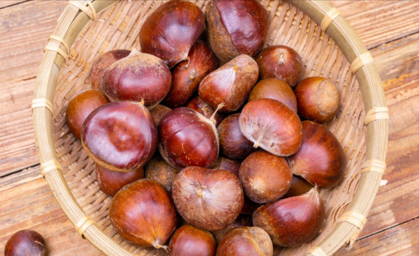 板栗怎么收藏不会坏的有效方法