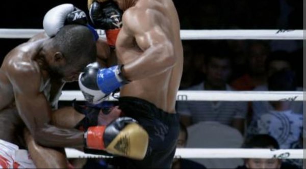 散打和自由搏击的区别