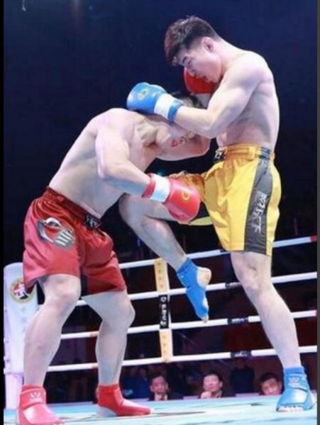 散打和自由搏击的区别