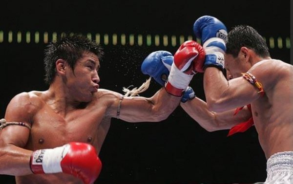 散打和自由搏击的区别