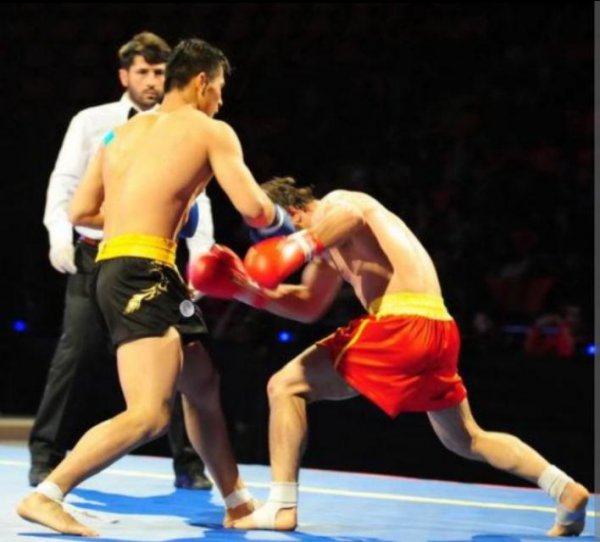 散打和自由搏击的区别