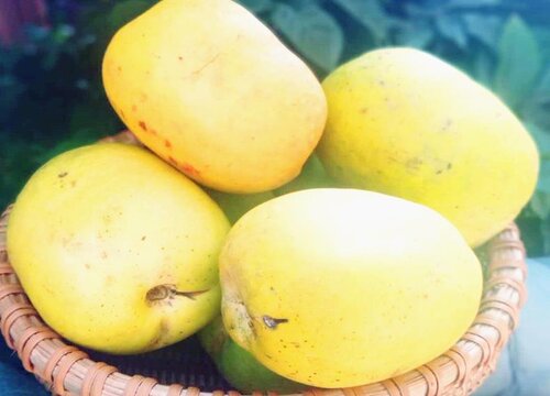 通便的水果有哪些