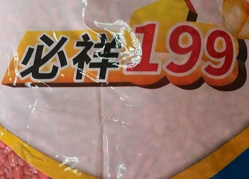 必祥199玉米种子简介