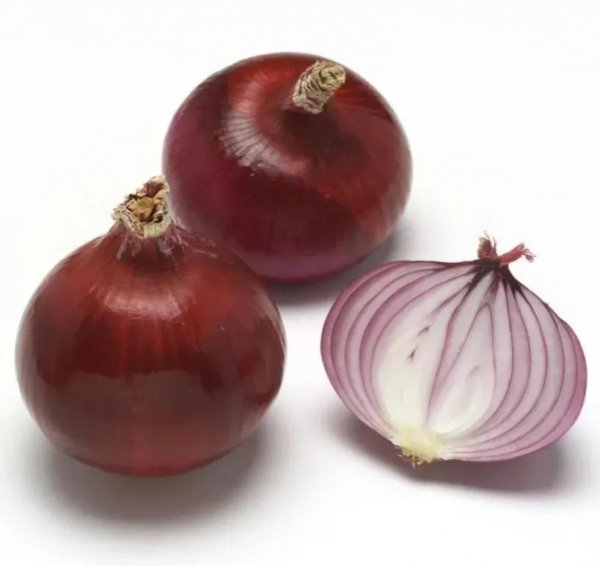 植物的茎是哪个部位