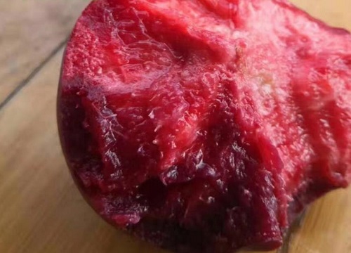 贵妃血桃品种介绍