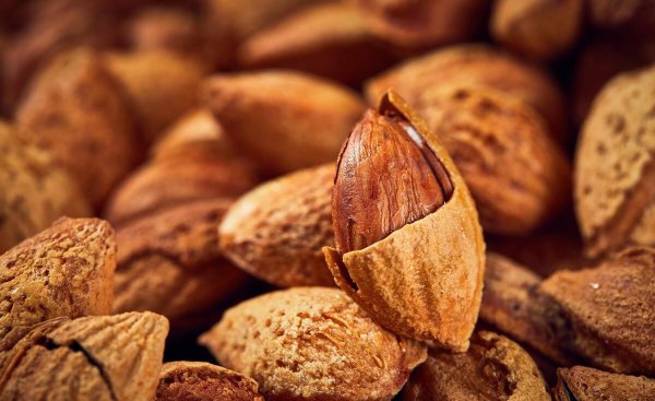 巴坦木果与杏仁的区别图片