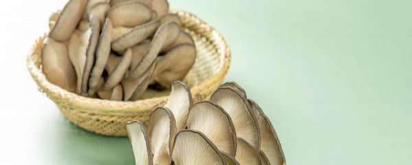吃平菇的好处和坏处