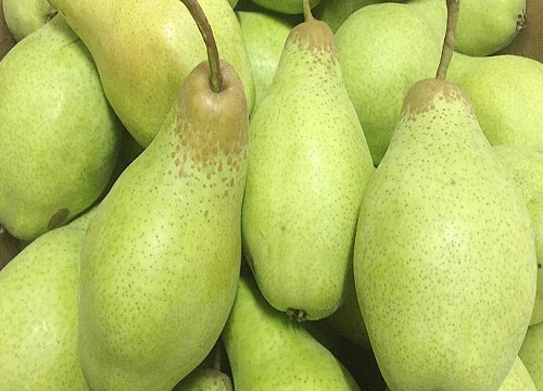 梨不能跟什么水果一起吃