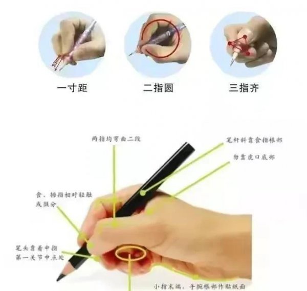 关于幼小衔接有什么好的建议