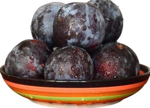 黑布林含糖量高吗