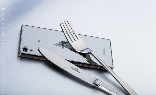 stainlesssteel什么意思