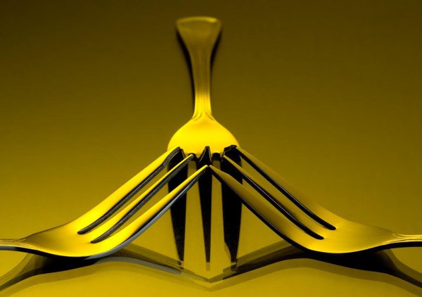 stainlesssteel什么意思